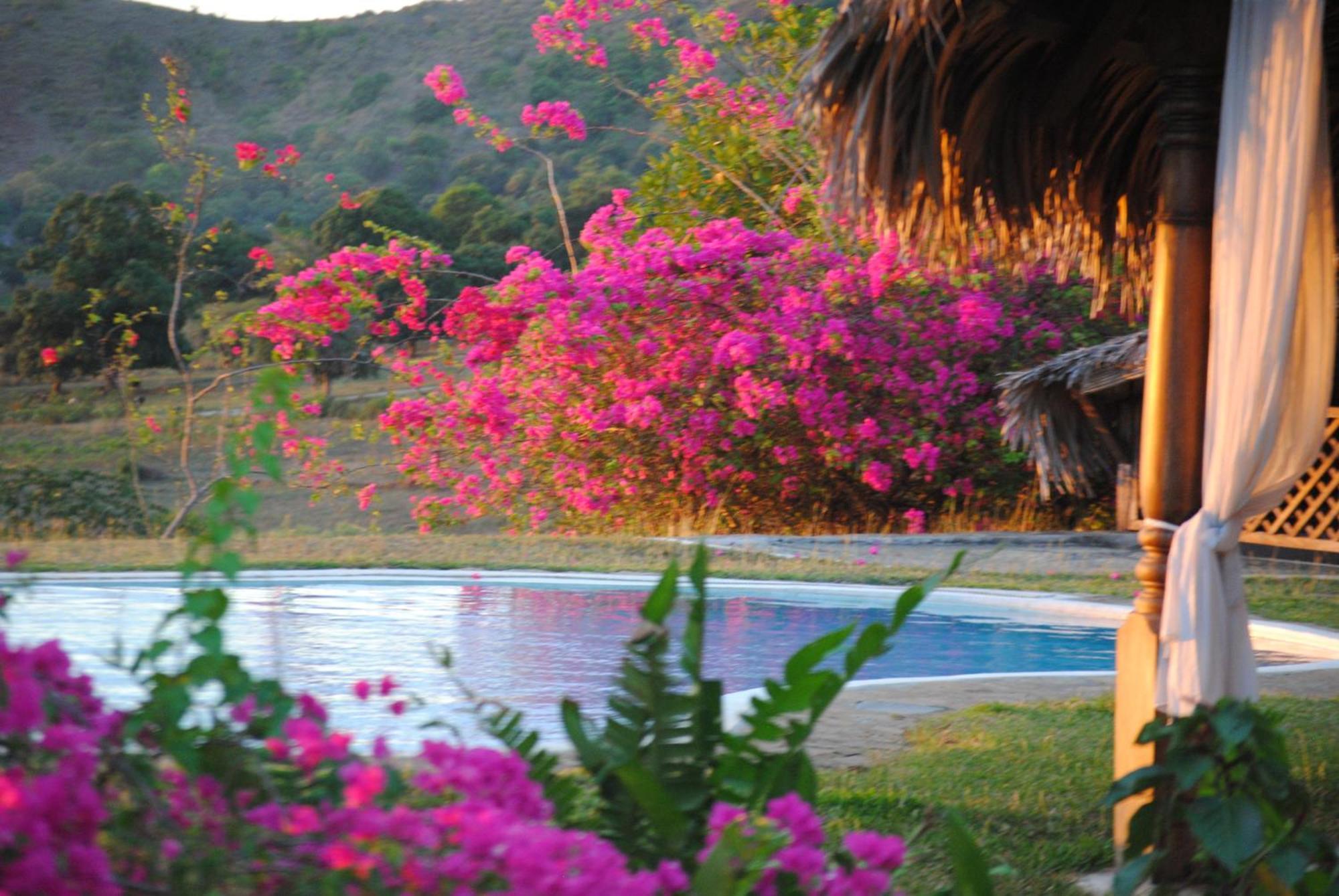 Villa Palissandre Nosy Be Exterior photo